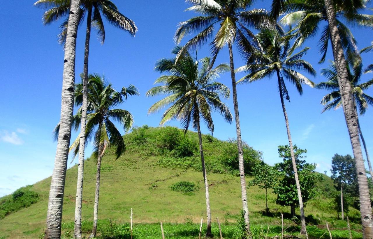 Bohol Sweet Home Bed And Breakfast Guindulman Esterno foto